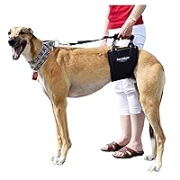Dog Sling Hip Lift Harness, Tall Male fits Tall, Lean Dogs Like Greyhounds or Great Danes. Padded Support Aid to Help Pets Up or Down Stairs, in or Out of Vehicles. Made in U.S.A.
