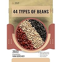 44 Types Of Beans: Guide and overview