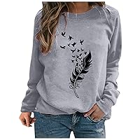 Wirziis Fashion Crewneck Sweatshirt for Women, Fall Long Sleeve Casual Loose Fit Comfy Soft Ombre Color Pullover Blouses Tops
