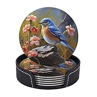 Coaster for Drink Leather Coaster Set of 6 Heat Resistant Drink Coasters with Holder Eastern Bluebird Coffee Cup Mat Tabletop Protection Cup Pad Round Coasters for Kitchen
