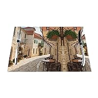 Placemats Set of 6 Non-Slip Heat-Resistant Wipeable Woven Spring Placemats for Dining Table Mats Outdoor-Italy Tuscan