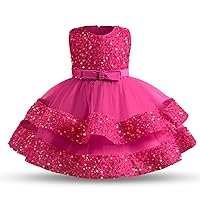 Girls' Tulle Flower Princess Wedding Long Sleeve Dress for Toddler and Baby Girl Gown
