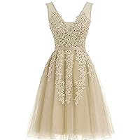8th Grade Dance Dresses for Teens Tulle Puffy Short 15 Party Dress Champagne,8