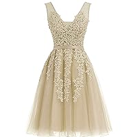 Short Prom Dresses For Juniors Lace Appliques Tulle Homecoming Dress