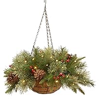 National Tree Company Pre-Lit 'Feel Real' Artificial Christmas Hanging Basket, Colonial, Decorated With Frosted Pine Cones, Berry Clusters, White Lights, Christmas Collection, 20 Inches