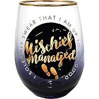 Spoontiques – Harry Potter Acrylic Wine Tumbler – Acrylic Stemless Wine Glass – 16oz - 5 5/8” Tall - Mischief Managed