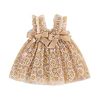 Toddler Baby Girl Princess Dress Ruffle Sleeveless Bowknot Daisy Flower Puffy Mesh Tulle Tutu Dress Birthday Photo