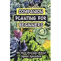 Companion Planting For Beginners: The Main Principles Behind Organic Agriculture