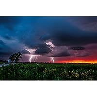 Storm Photography Print (Not Framed) Picture of Lightning Strikes as Firefly Whirls About at Sunset on Stormy Evening in Oklahoma Weather Wall Art Nature Decor (4
