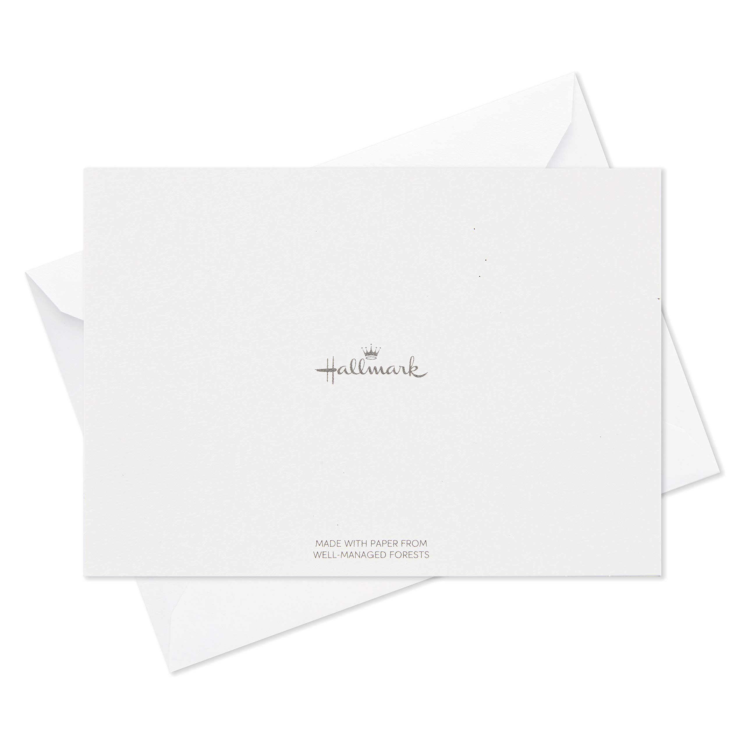 Hallmark Thank You Cards Assortment, Tropical Animals (24 Assorted Thank You Notes with Envelopes—Cheetahs, Llamas, Zebras, Flamingos, Birds)