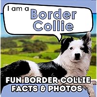 I am a Border Collie: A Children's Book with Fun and Educational Animal Facts with Real Photos! (I am... Animal Facts) I am a Border Collie: A Children's Book with Fun and Educational Animal Facts with Real Photos! (I am... Animal Facts) Kindle Paperback