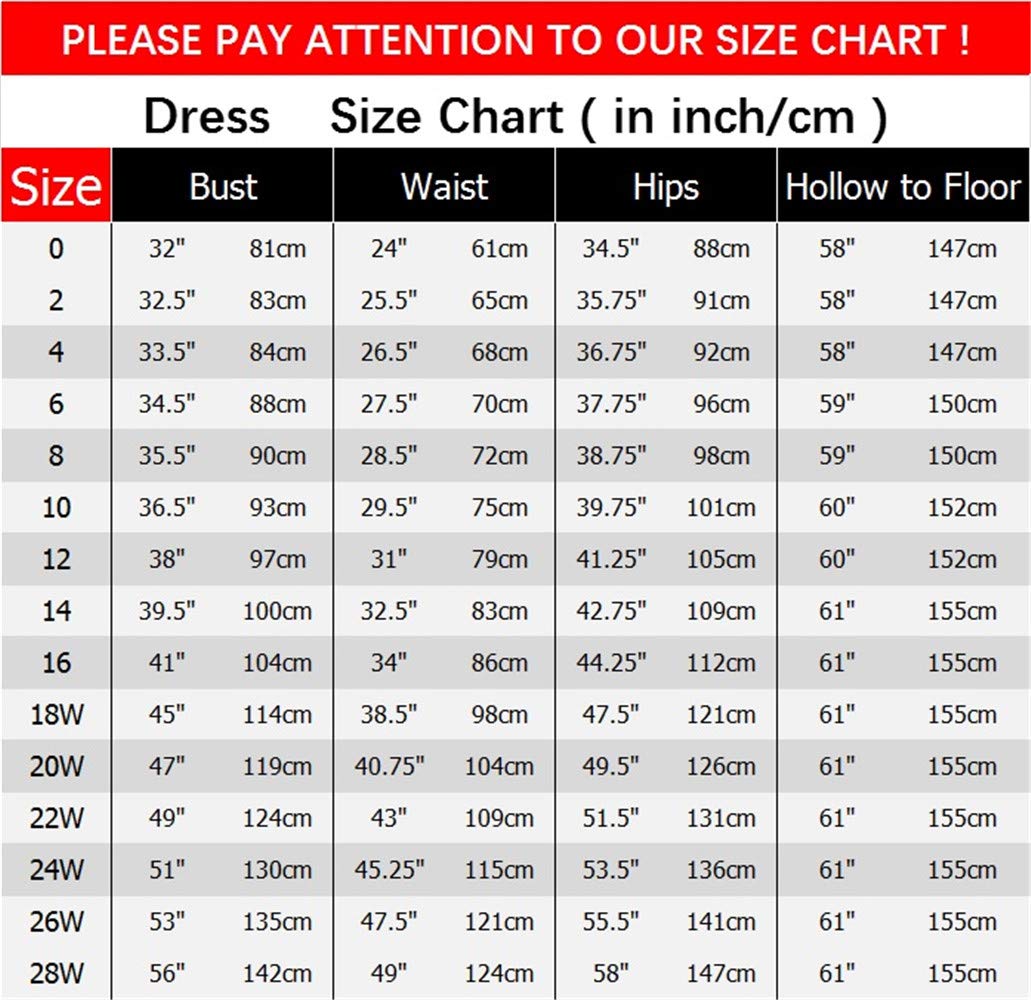 Ai Maria Women's Gradient Prom Dress Formal Evening Gowns Chiffon Long Prom Party Dresses