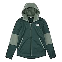 THE NORTH FACE Boys' Winter Warm Full Zip Hoodie