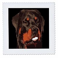 3dRose Cartoon Style Nerdy Rottie Sticking Tongue Out - Quilt Squares (qs_357087_2)