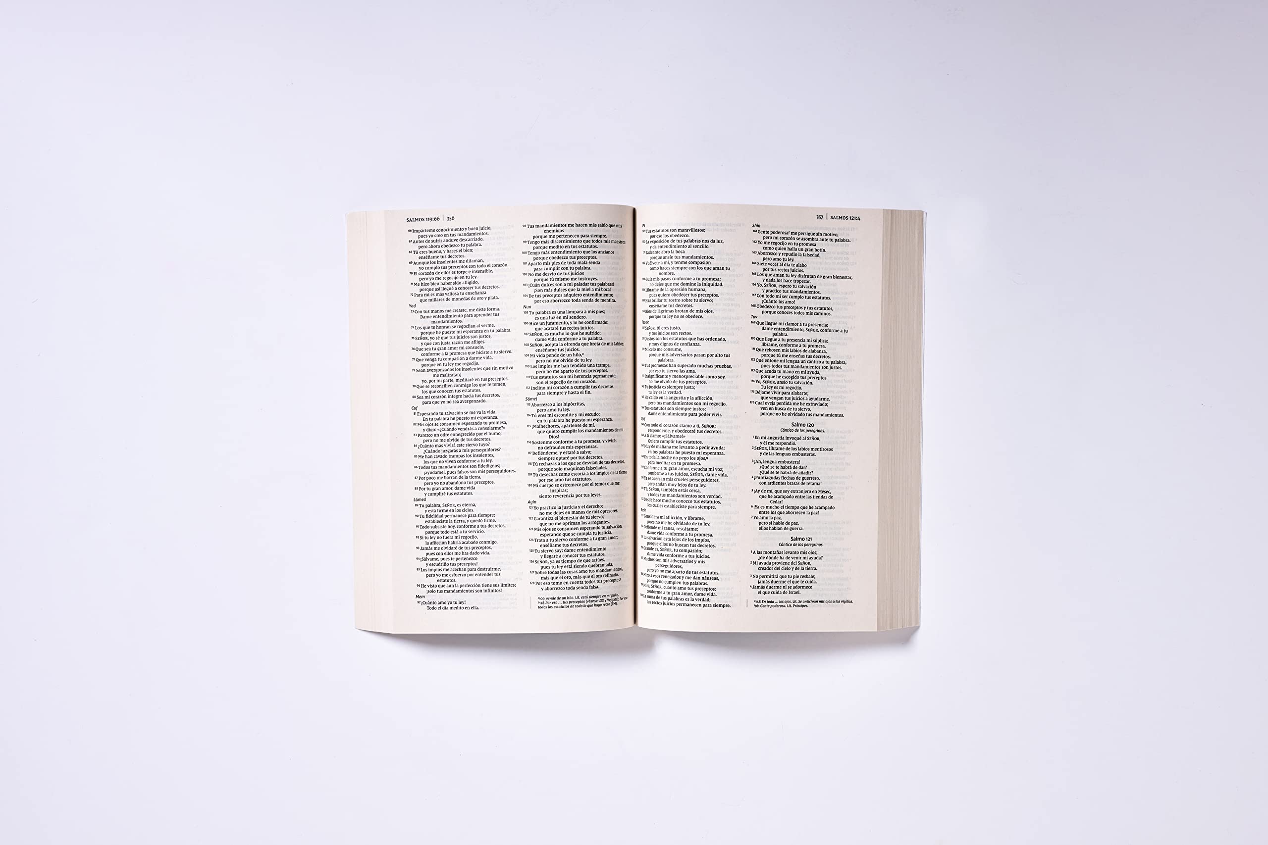 Biblia NVI, Edición económica, Tapa Rústica /Spanish Holy Bible NVI, Economy Edition, Softcover (Spanish Edition)