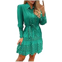 Plus Size Women Unlined Fashion Hollow Out Pencil Dress Long Sleeve Lapel Casual Belted Button Down Sheath Dresses