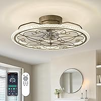 Low Profile Ceiling Fan with Lights Remote Control 20