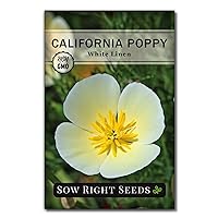 Sow Right Seeds - White Linen California Poppy Seeds for Planting - Non-GMO Heirloom Packet with Instructions to Grow a Beautiful Flower Garden - Delicate White Accent Blooms for Flower Beds