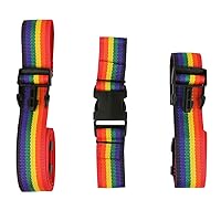 Skillbuilders 3 Piece Replacement Harness Set for Medium Full Support Swing, Rainbow Strap Accessories