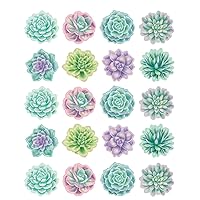 Teacher Created Resources Rustic Bloom Succulents Stickers, Pack of 120