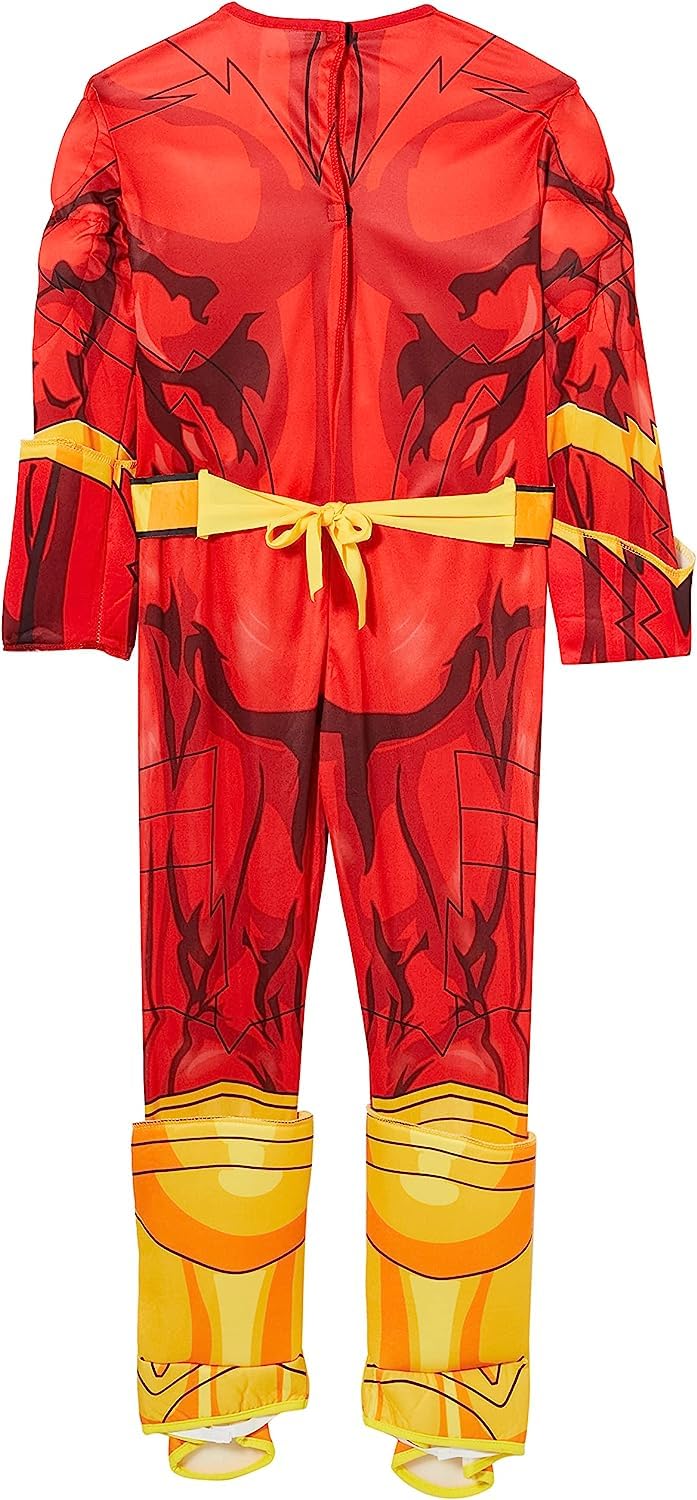 Rubie's Costume DC Superheroes Flash Deluxe Child Costume