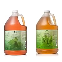 Carolina Castile Soap Peppermint and Sage Lime Soap Liquid Bundle - 1 Gallon Vegan & Pure Organic Concentrated Non Drying All Natural Formula Body Wash & Shampoo