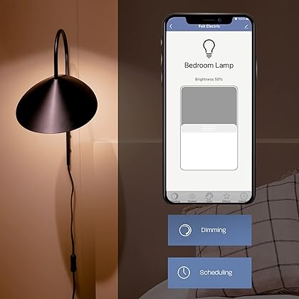 Feit Electric Smart Wifi Bulb, LED Vintage Wifi Bulb, 2.4GHz, No Hub Needed, App Control, Dimmable, Works with Alexa or Google Assistant, ST19 LED Edison Smart Bulb, Amber 2100K, ST1960/FIL/AG