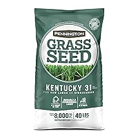 Kentucky 31 Tall Fescue Penkoted Grass Seed 40 lbs