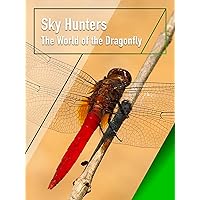 Sky Hunters - The World of the Dragonfly