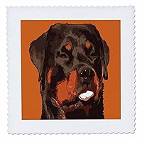 3dRose Cartoon Style Nerdy Rottie Sticking Tongue Out - Quilt Squares (qs_357086_8)