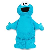 Jay Franco Sesame Street Plush Stuffed Cookie Monster Large Pillow Buddy - Super Soft Polyester Microfiber, 22 inch (Official Sesame Street Product)