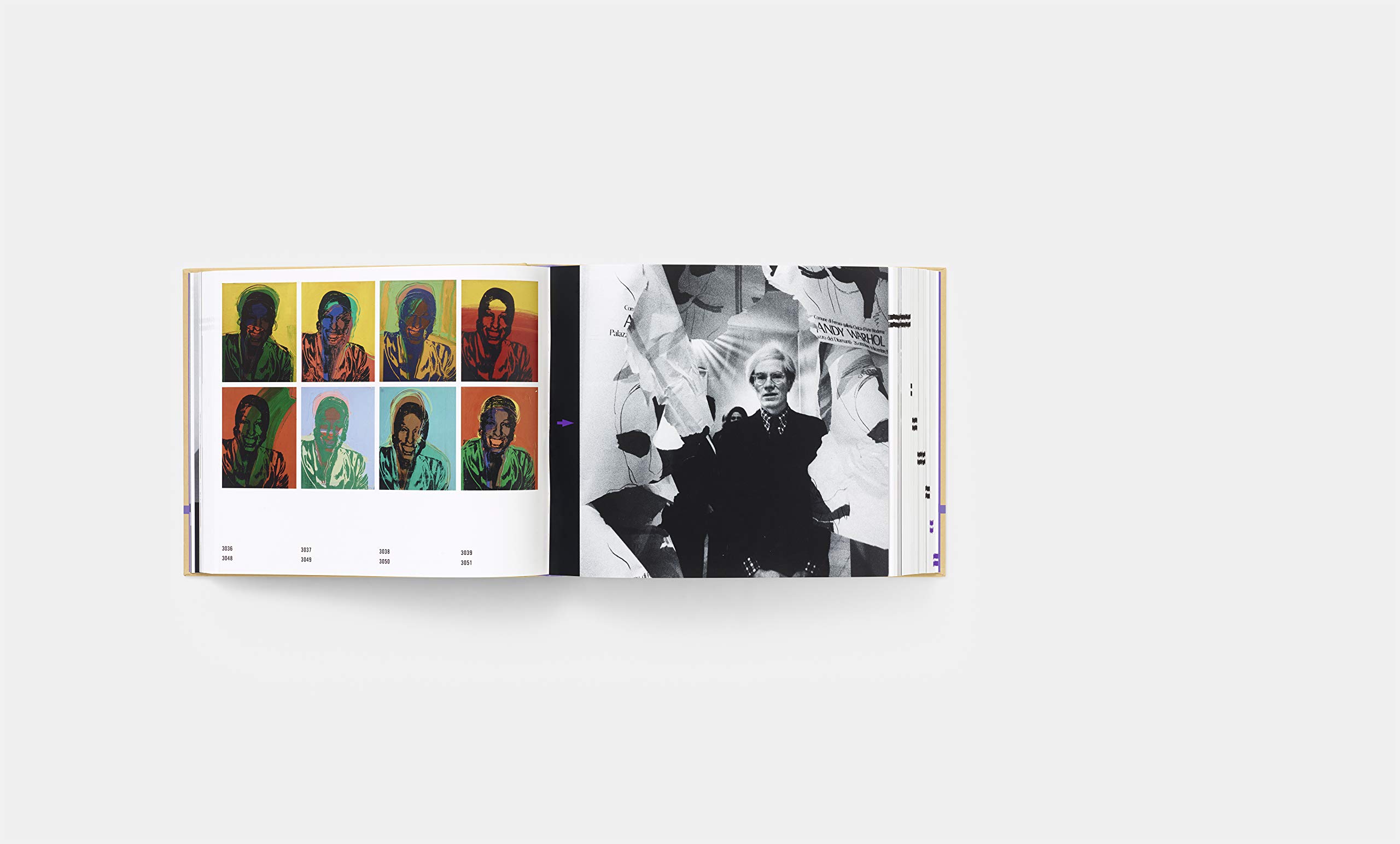 The Andy Warhol Catalogue Raisonné: Paintings and Sculpture late 1974-1976 (The Andy Warhol Catalogue Raisonn, 4)