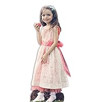 Carouselwear Girls Formal Special Occasion Party Dress Burned Out Overlay