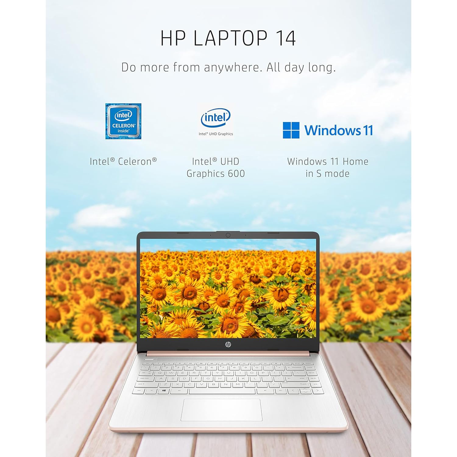 HP 14-inch HD Thin & Light Laptop, Intel Celeron Quad-Core Processor, Long Battery Life, Webcam, Bluetooth, Wi-Fi, P500 SSD, Rose Gold, Win 11 + 1 Year Microsoft 365 (8GB RAM | 320GB Storage)