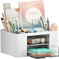Flexzion Desk Organizer Office Supplies Accessories Desktop Tabletop Sorter Shelf Pencil Holder Caddy Set - Metal Mesh with Drawer and 6 Compartments (