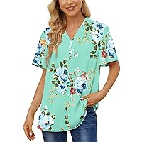 BISHUIGE Womens Summer Tops Dressy Casual T-Shirts Chiffon Loose fit Tunic Blouses