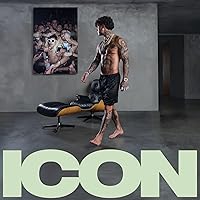 Icon Icon Audio CD Vinyl