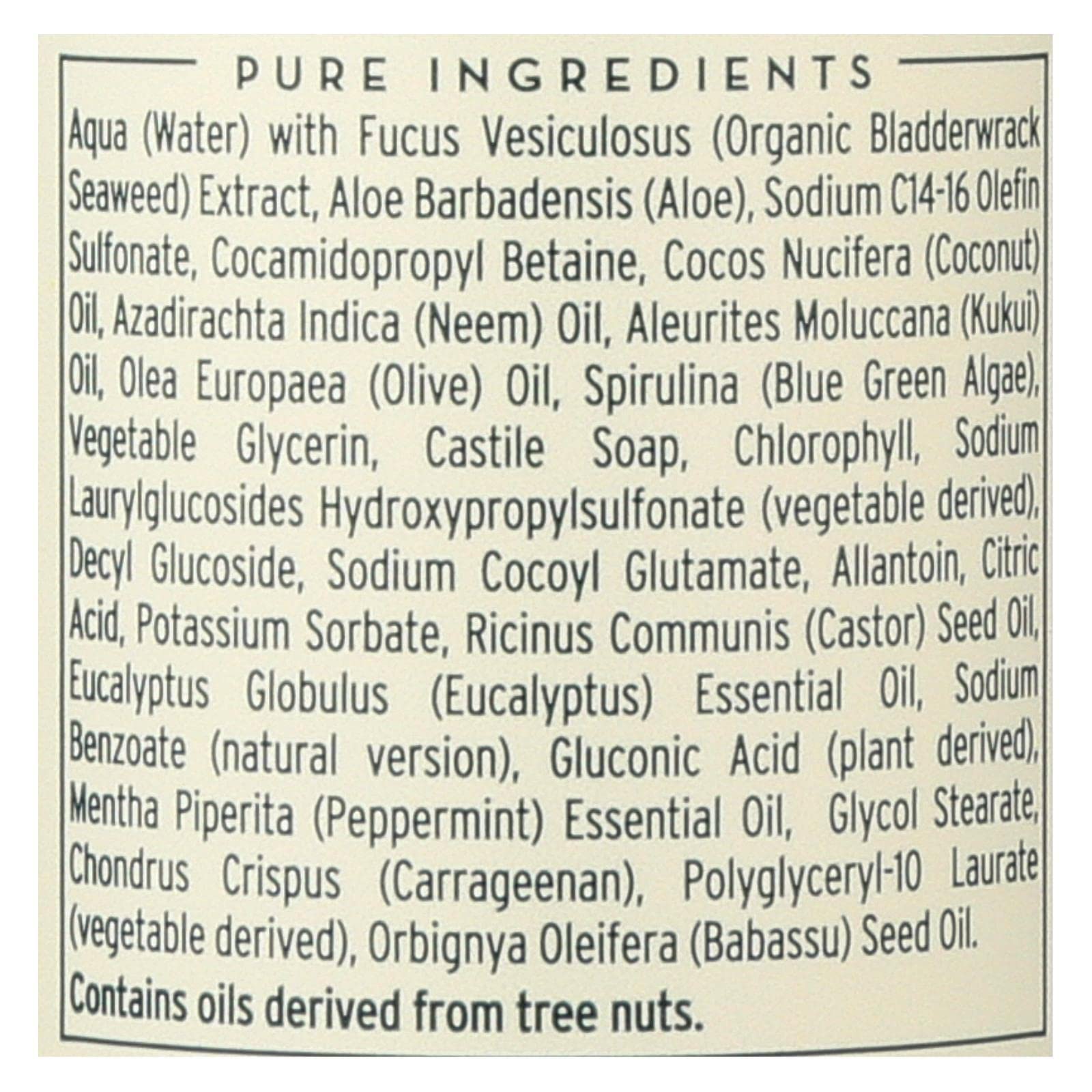 Seaweed Bath Co. Hydrate Body Wash, Eucalyptus Peppermint Scent, 12 Ounce, Sustainably Harvested Seaweed, Blue Green Algae, Kukui and Coconut Oils (Packaging May Vary)