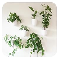 Virgo Self-Watering Wall Planters (Set of 6) - Easy to Water and Install - Lightweight - Design Your Own Vertical Garden - Wall Planters for Indoor Plants