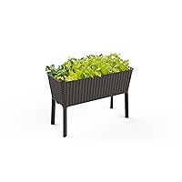 Keter Splendor 31.7 Gallon Raised Garden Bed with Self Watering Planter Box and Drainage Plug-Perfect for Growing Fresh Vegetables, Flowers and Herbs, Brown