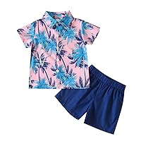 Baby Boy Bundles Set Clothes Toddler Boys Short Sleeve Floral Prints T Shirt Tops Shorts Child Kids (Pink, 4-5 Years)
