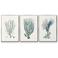 Renditions Gallery Canvas Nature Wall Art Hanging Decor Coastal Green Coral Aquatic Sea Life Silver Floater Framed Artwork for Bedroom Office Kitchen - 24