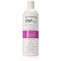 Shampoo-Oil & Fragrance Free - (2 Pack of 16 oz.)