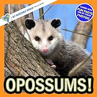 Opossums!: A My Incredible World Picture Book for Children (My Incredible World: Nature and Animal Picture Books for Children) Opossums!: A My Incredible World Picture Book for Children (My Incredible World: Nature and Animal Picture Books for Children) Paperback Kindle