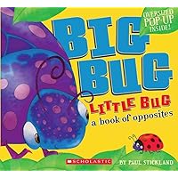 Big Bug, Little Bug Big Bug, Little Bug Hardcover
