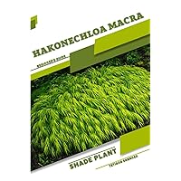 Hakonechloa macra: Shade plant Beginner's Guide