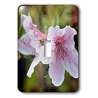 3dRose Stamp City - flowers - Macro photograph of pink azaleas with a plastic wrap effect. - single toggle switch (lsp_312240_1)