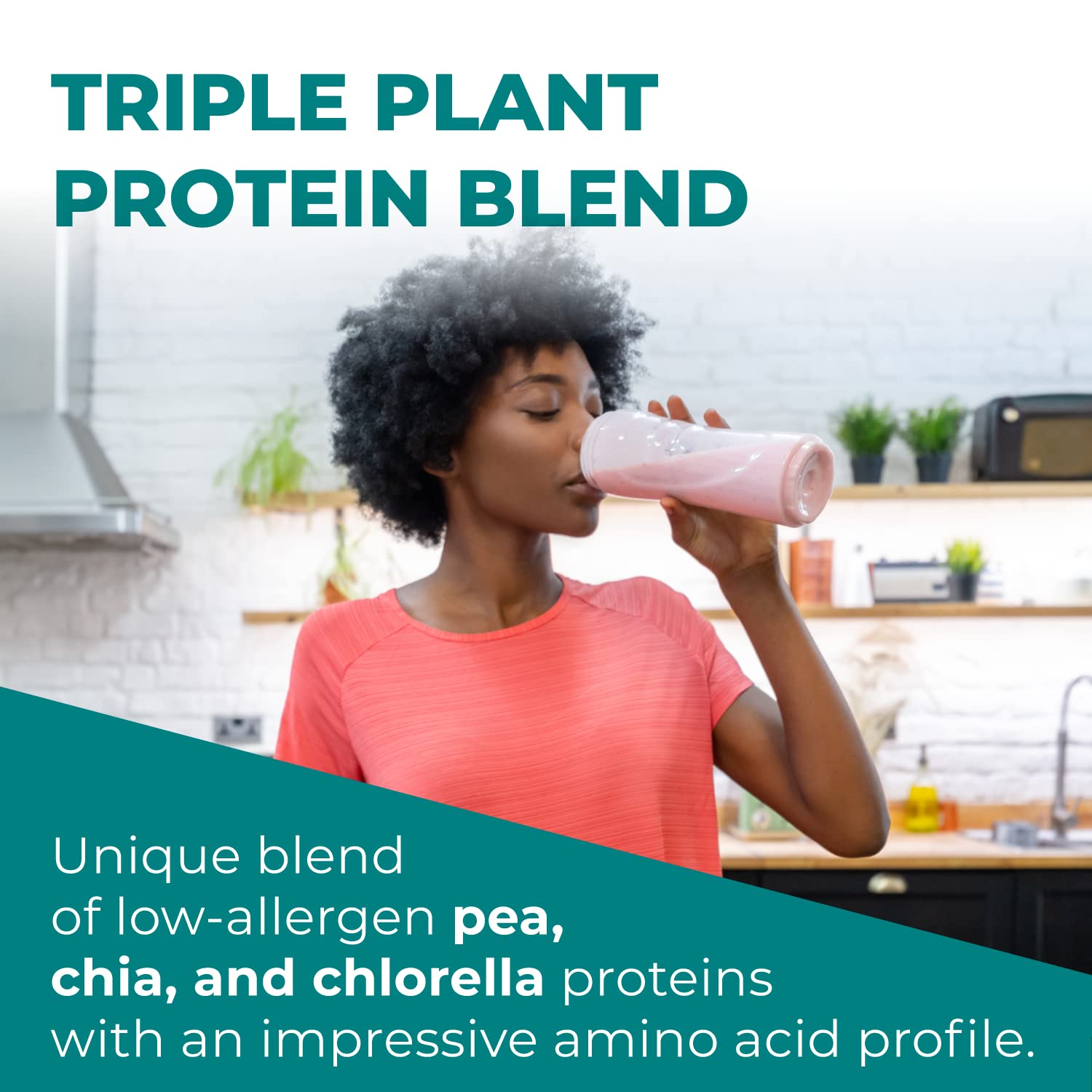 Reignite Wellness by JJ Virgin Chai Plant Based All in 1 Shake - Chia, Chlorella, + Pea Protein Powder - Contains Essential Vitamins & Probiotic Blend to Support Immunity + Gut Health (15 Servings)