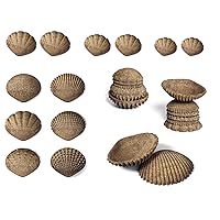edxeducation Tactile Shells - Eco-Friendly - 36 Pieces, 6 Textures, 3 Sizes - Ages 18m+ - Sensory Play - Dough and Clay Toys