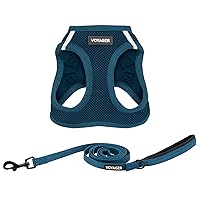 Voyager Step-in Air All Weather Mesh Harness and Reflective Dog 5 ft Leash Combo with Neoprene Handle, for Small, Medium and Large Breed Puppies by Best Pet Supplies - Harness Leash Set (Blue), M